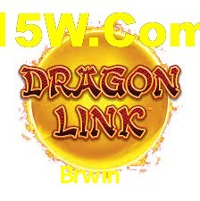 Brwin17 App Interface