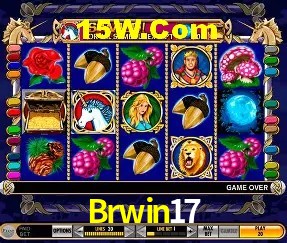 Brwin17 Rio de Janeiro - Licenses